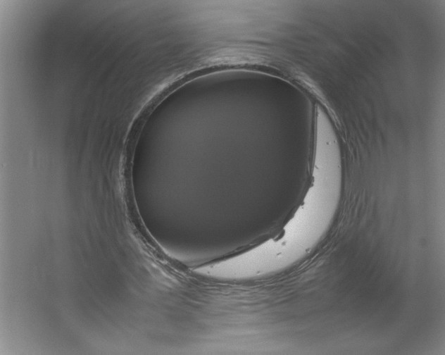X0000062150387200512301559