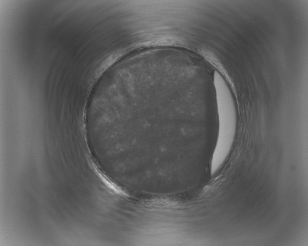 X0000062150389200512301559