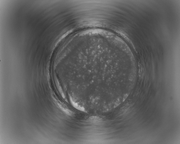 X0000062150390200512301559