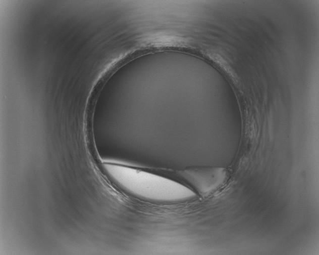 X0000062150391200512301559