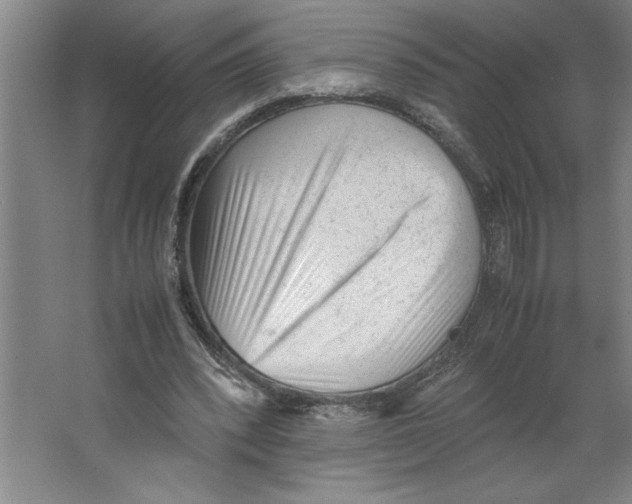 X0000062150392200512301558