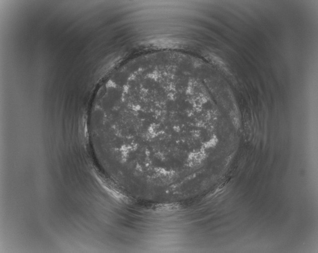 X0000062150398200512301558