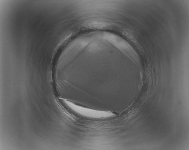 X0000062150399200512301558
