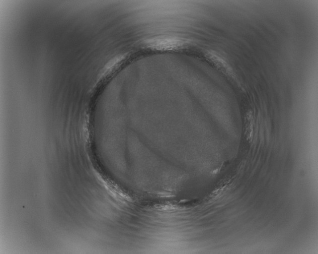 X0000062150400200512301558
