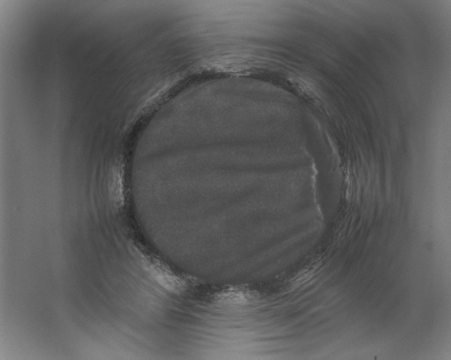 X0000062150404200512301558