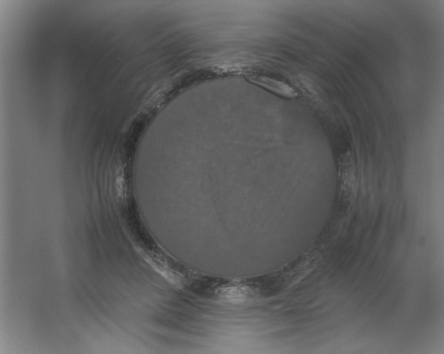 X0000062150408200512301558