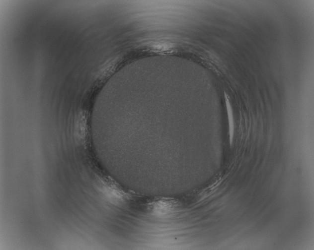 X0000062150412200512301558