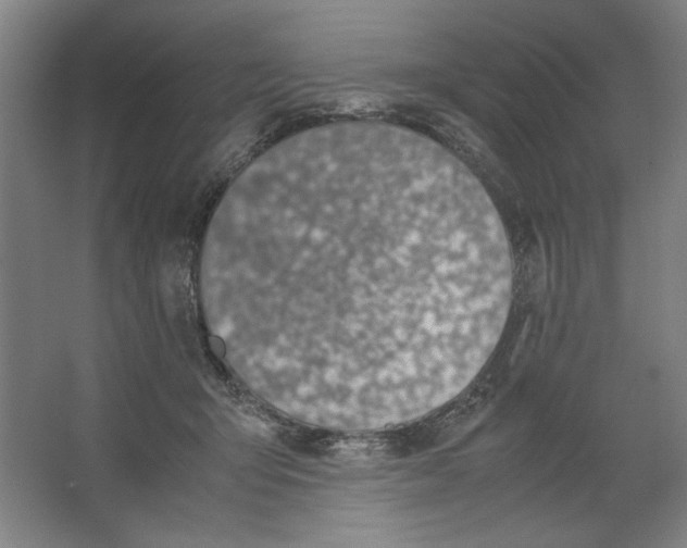 X0000062150415200512301558
