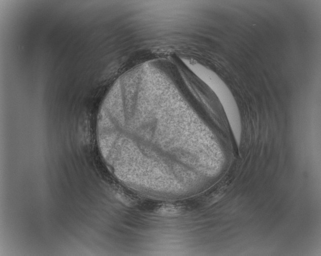 X0000062150416200512301558