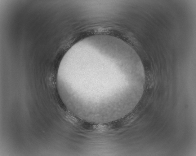 X0000062150419200512301558