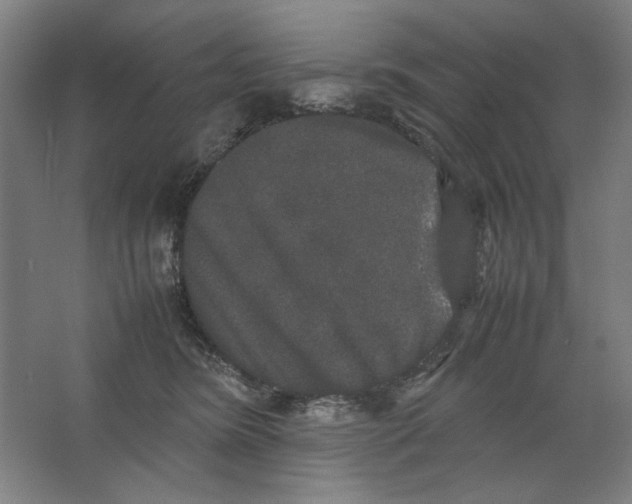X0000062150420200512301558