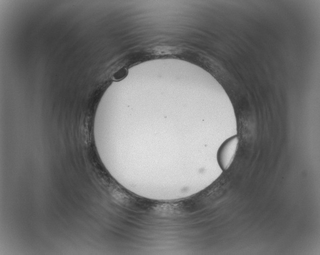 X0000062150422200512301558