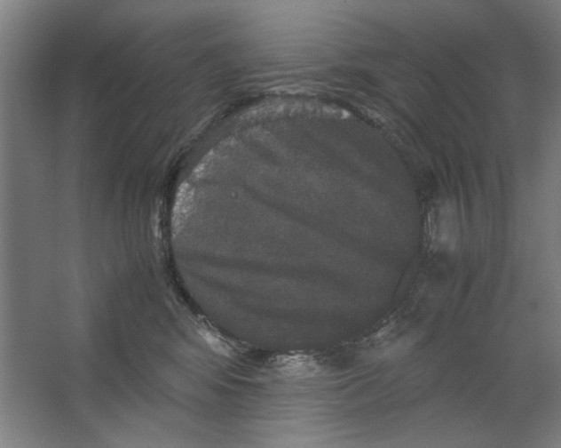 X0000062150424200512301558