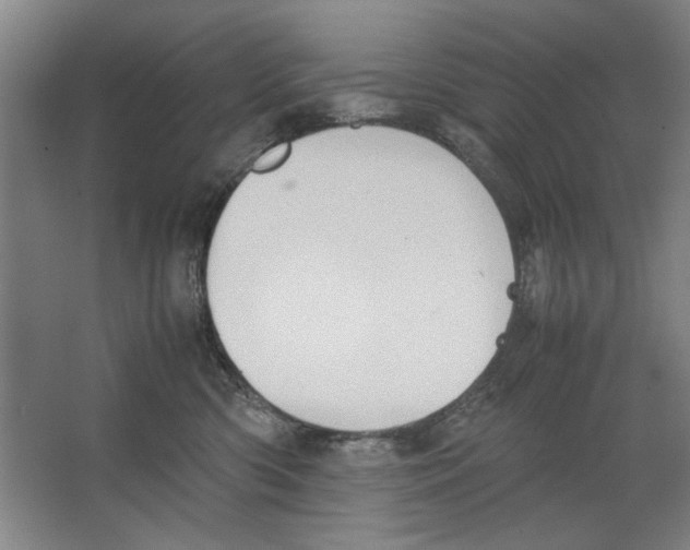 X0000062150426200512301558