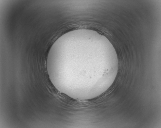 X0000062150429200512301558