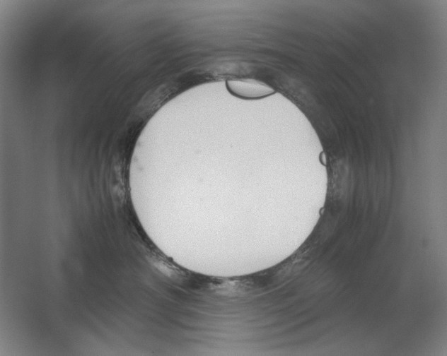 X0000062150430200512301558