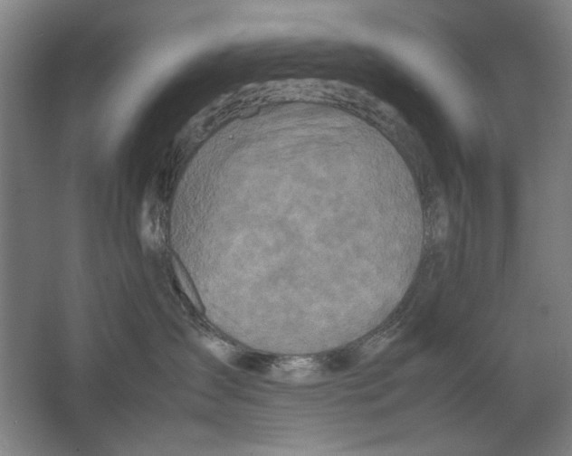 X0000062150431200512301558