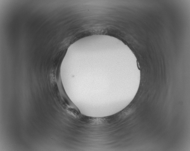 X0000062150432200512301558