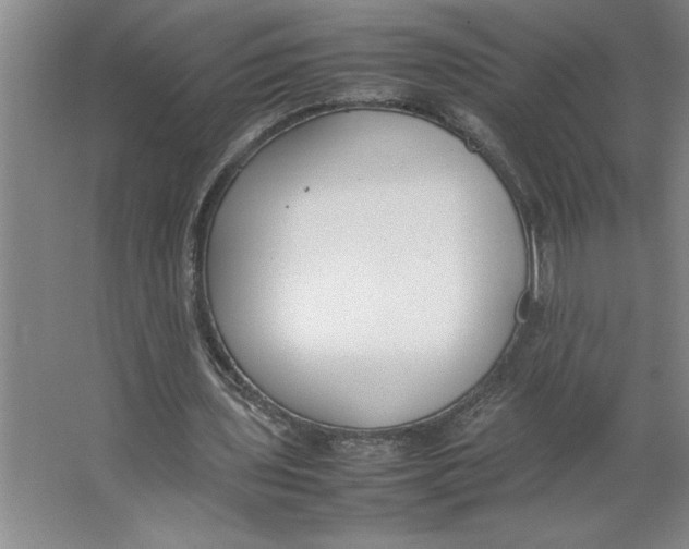X0000062150435200512301557