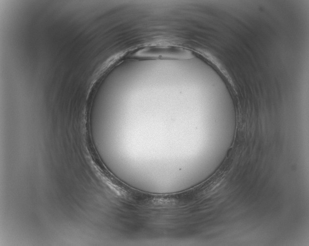 X0000062150437200512301557