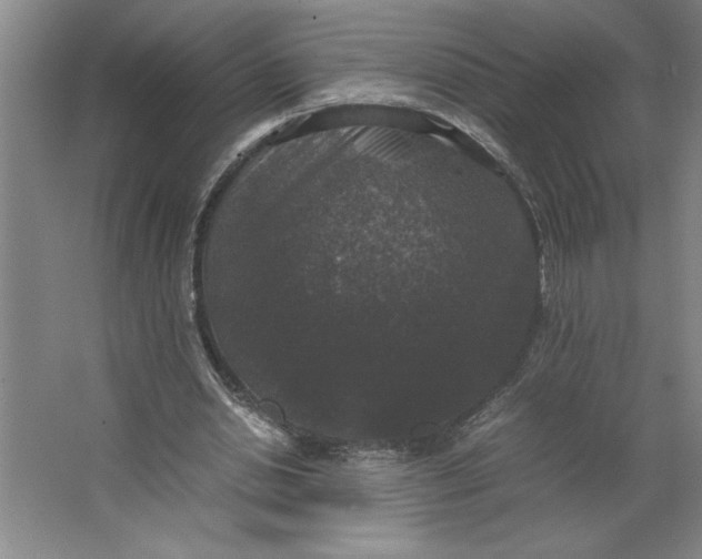 X0000062150438200512301557