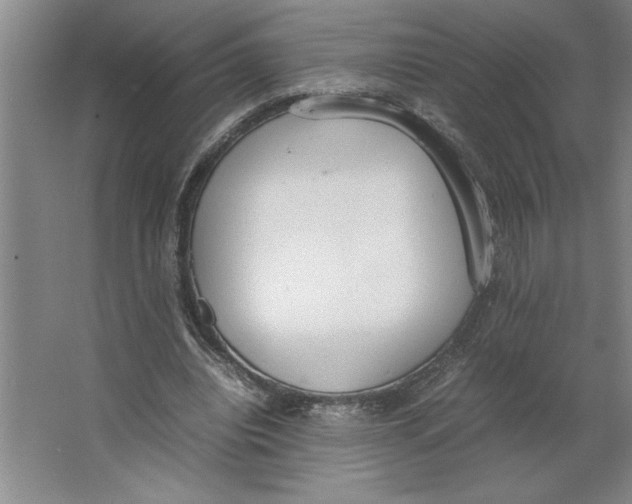 X0000062150440200512301557