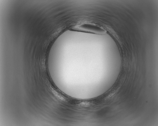 X0000062150441200512301557