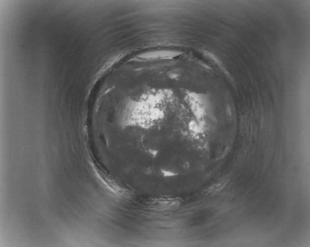 X0000062150443200512301557