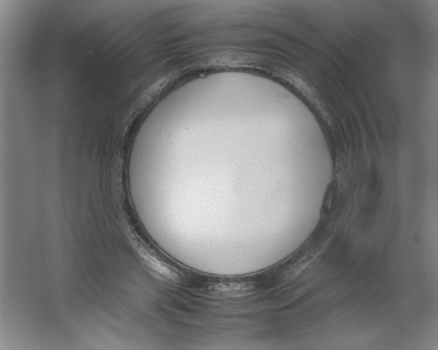 X0000062150445200512301557