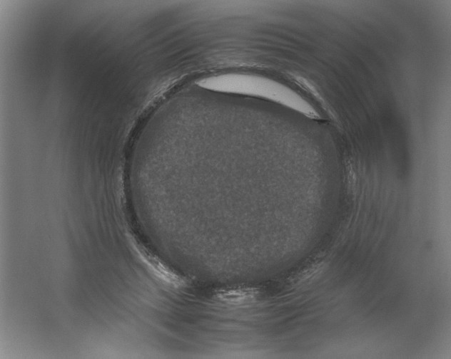 X0000062150447200512301557