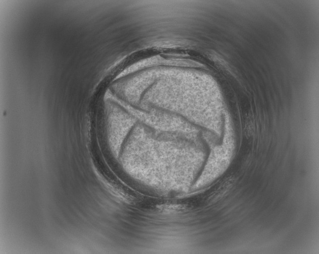 X0000062150448200512301557