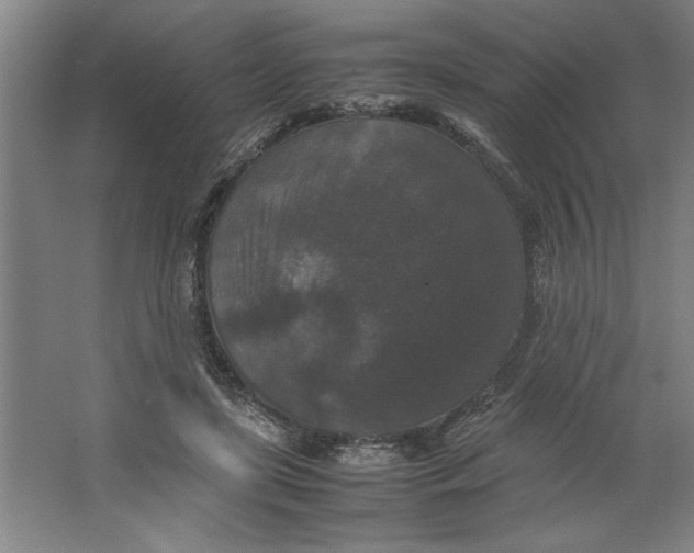 X0000062150451200512301557