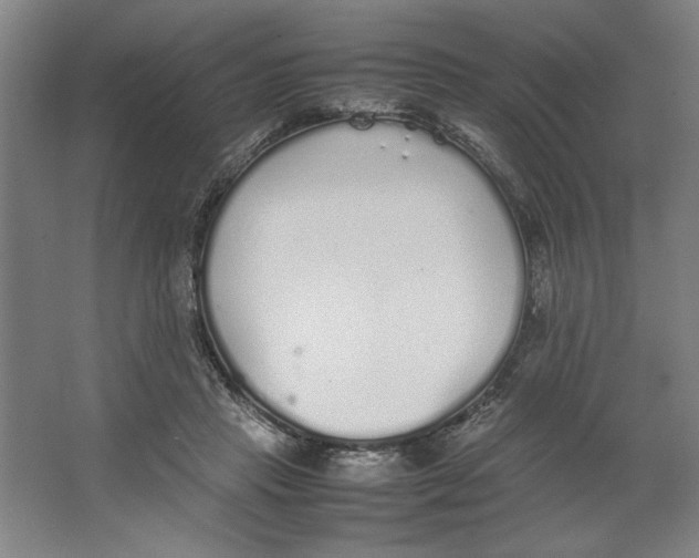 X0000062150453200512301557