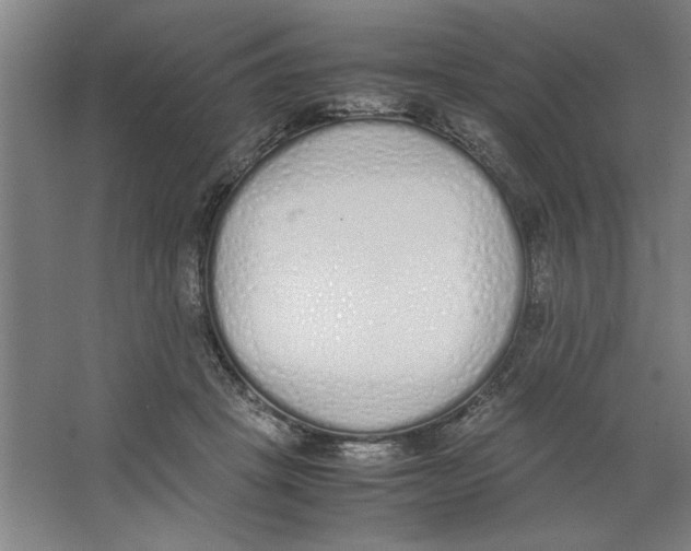 X0000062150457200512301557