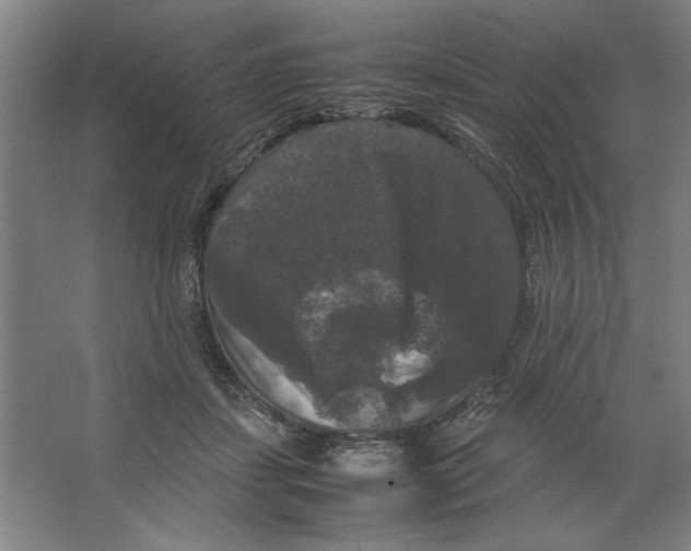 X0000062150459200512301557