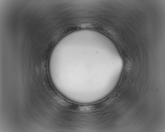 X0000062150461200512301557