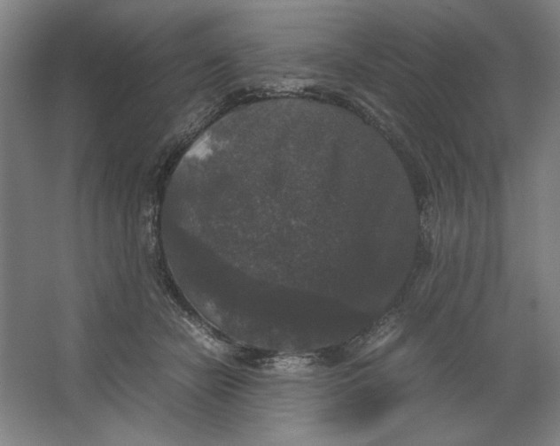 X0000062150462200512301558