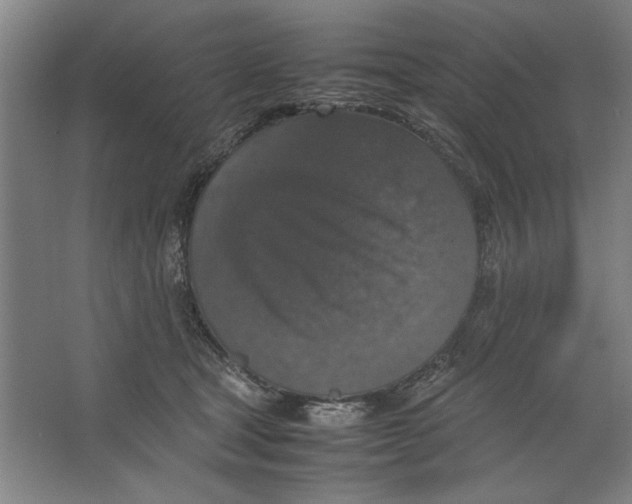 X0000062150465200512301558