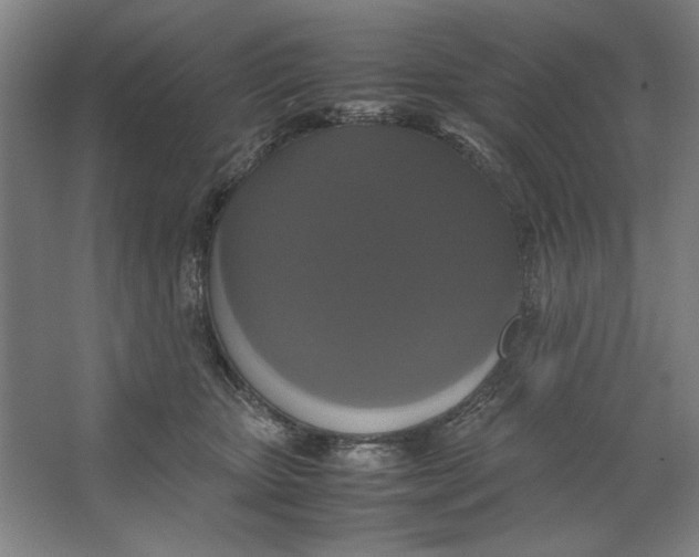 X0000062150467200512301558