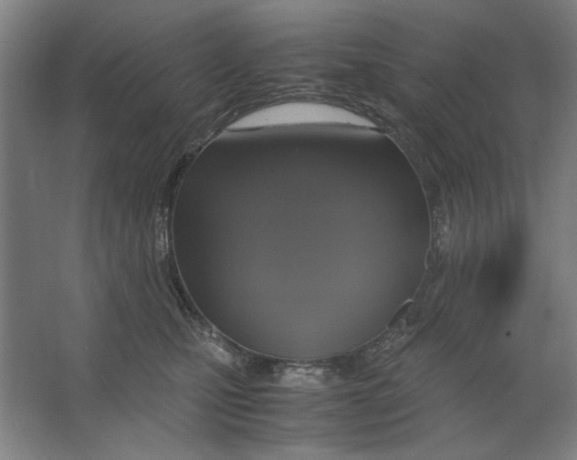 X0000062150471200512301558