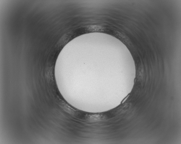 X0000062150473200512301558