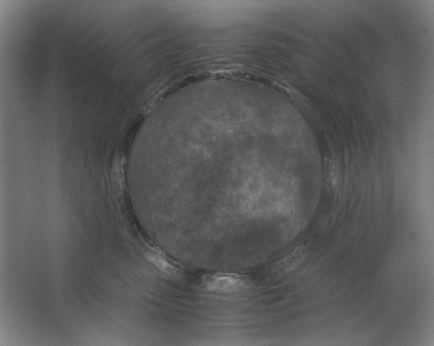 X0000062150475200512301558