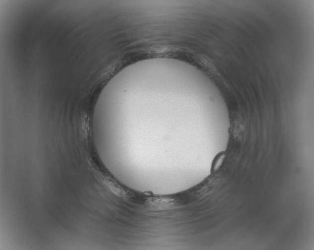 X0000062150476200512301558
