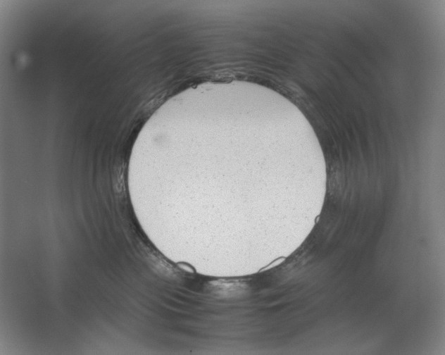 X0000062150477200512301558