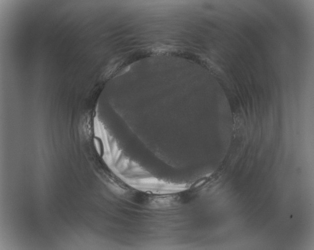 X0000062150479200512301558