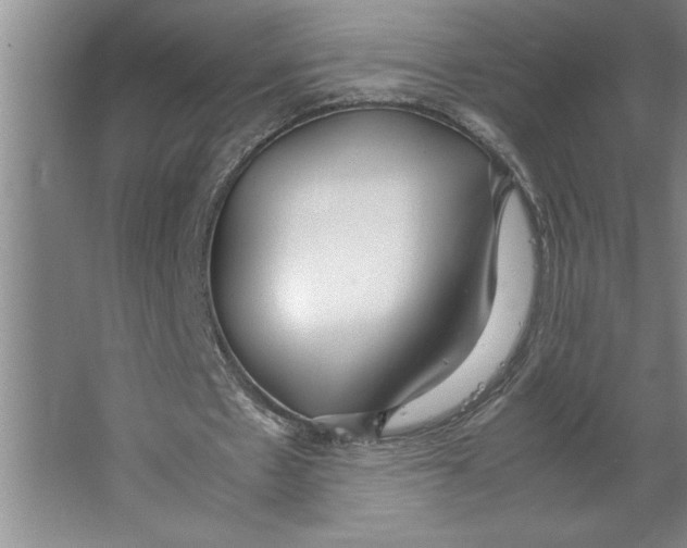 X0000062150481200512301557