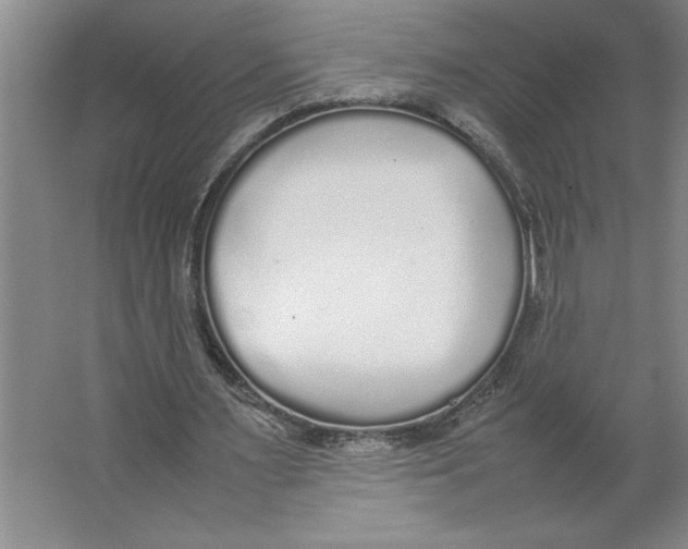 X0000062150483200512301557