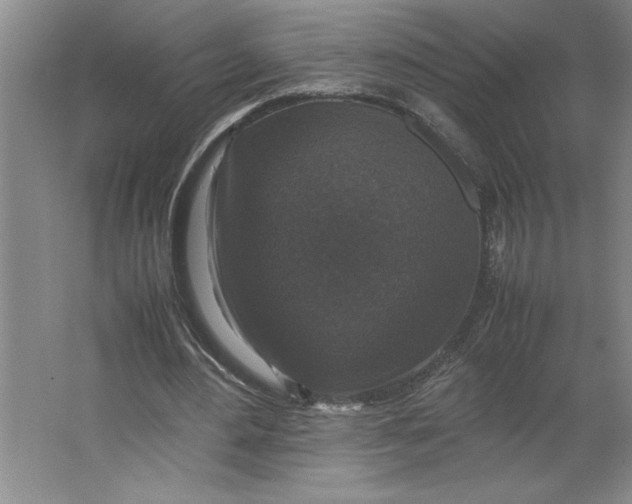 X0000062150484200512301557