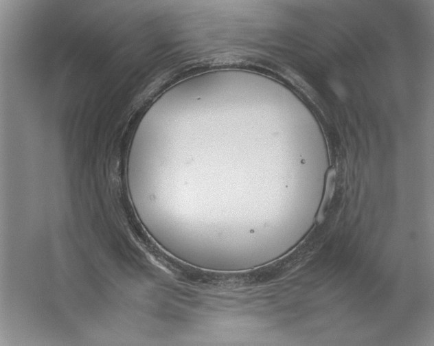 X0000062150485200512301557