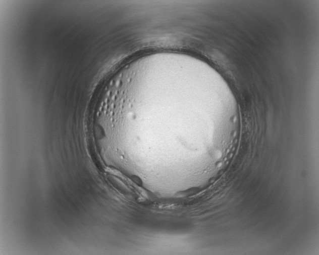 X0000062150487200512301557